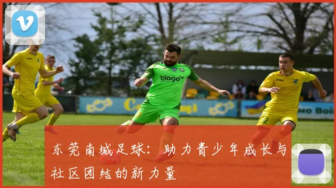 东莞南城足球：助力青少年成长与社区团结的新力量
