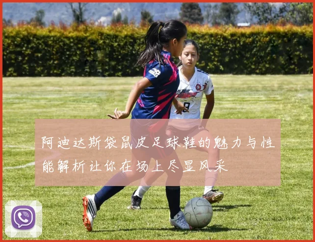 阿迪达斯袋鼠皮足球鞋的魅力与性能解析让你在场上尽显风采