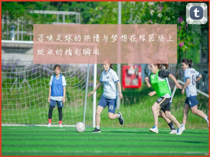 召唤足球的热情与梦想在绿茵场上绽放的精彩瞬间