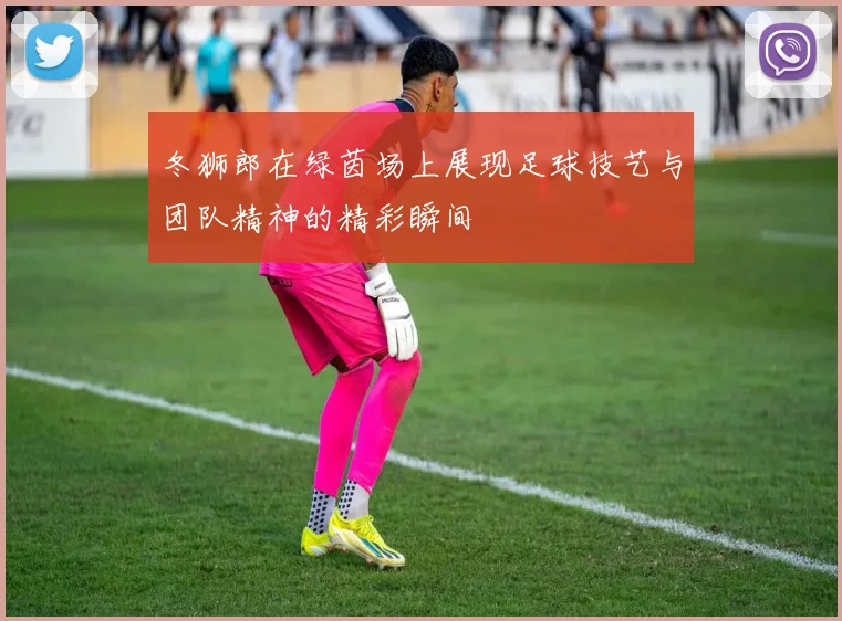 冬狮郎在绿茵场上展现足球技艺与团队精神的精彩瞬间