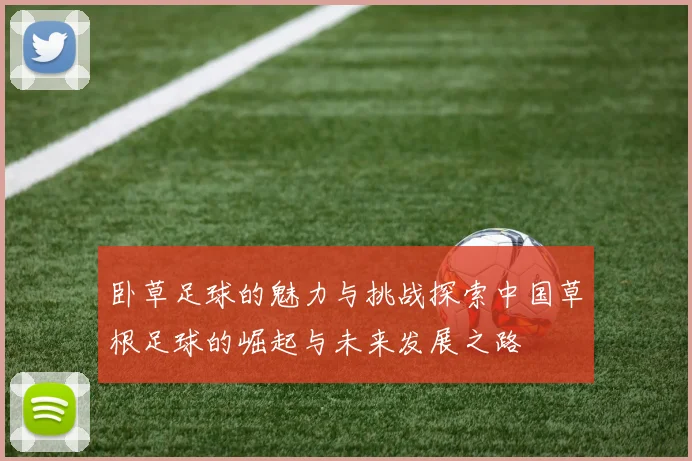 卧草足球的魅力与挑战探索中国草根足球的崛起与未来发展之路