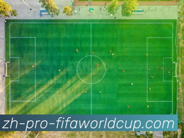 世界杯官网APP 封面图